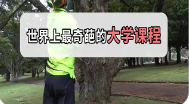 英国留学奇葩课程